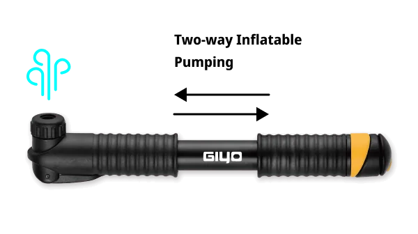 Dual Action Pumping